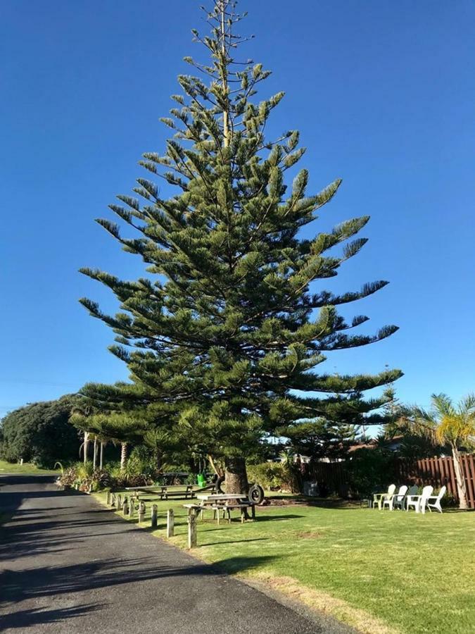 Beaches Motel Waihi Exterior foto